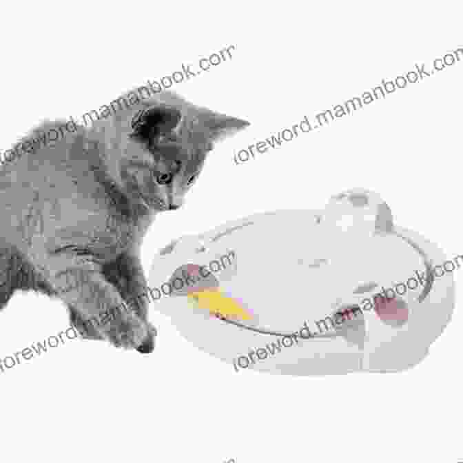 A Playful Gray Kitten With Blue Eyes Jumps And Pounces On A Toy Mouse. Cute Animals For Children: The Most Cutest Animals In The World Children S Photo (Cute Animals Cute Cats Cute Dogs Photo Children S Photo Book)