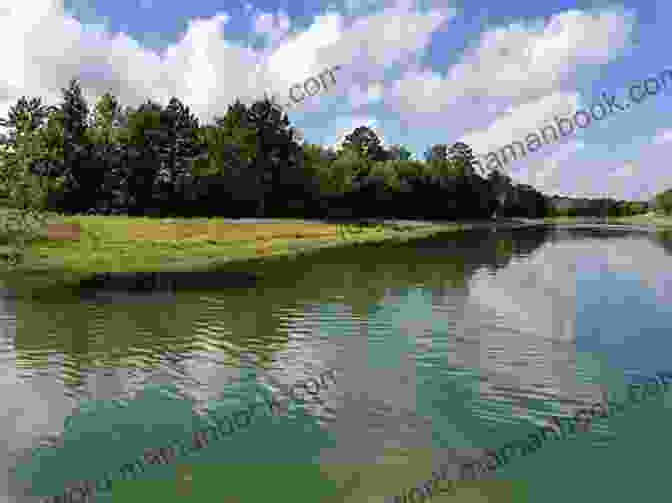 A View Of The Private Lake On The Ranch, With A Group Of People Fishing From A Boat. The Rancher (Morgan Ranch 6)