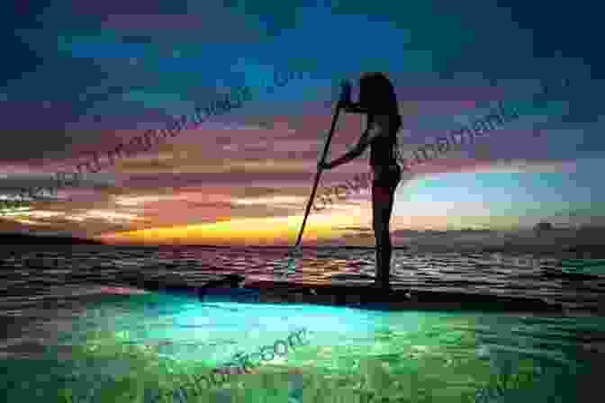 A Young Surfer Paddles Out Into The Ocean At Sunset Surf: A Surfer S Bedtime Story (Surf A Surfer S Bedtime Story)