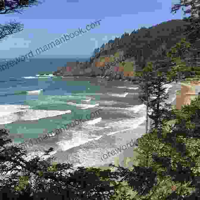 Hikers Enjoying The Breathtaking Views Of Tillamook Head National Recreation Trail Near The Summer Escape Cannon Beach The Summer Escape (Cannon Beach 5)