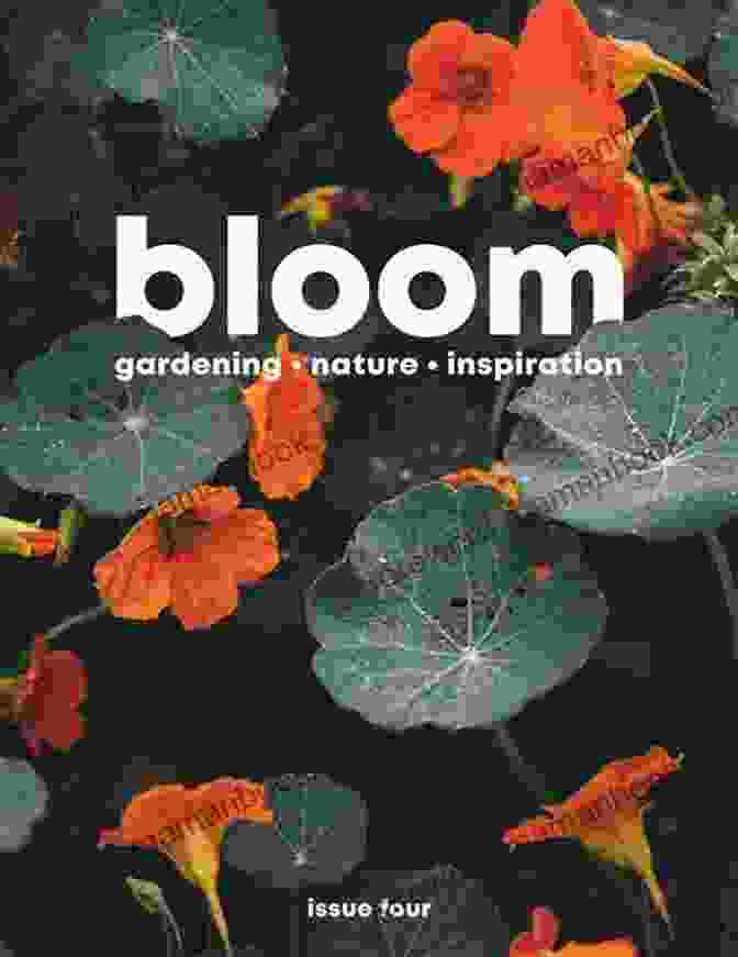 Last Stanza Poetry Journal: Root Bloom Issue Cover Last Stanza Poetry Journal Issue #8: Root Bloom Cultivate