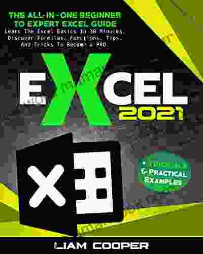 Excel 2024: The All in One Beginner to Expert Excel Guide Learn the Excel Basics in 30 Minutes Discover Formulas Functions Tips and Tricks to Become a PRO + Tutorials Practical Examples