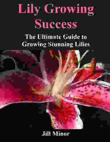 Lily Growing Success:The Ultimate Guide To Growing Stunning Lilies
